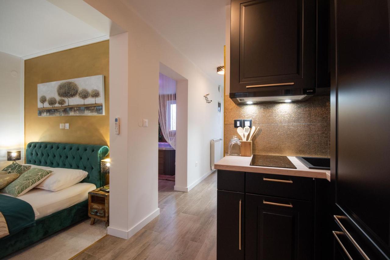 Wellness Studio D'Or - Exclusive New Apartment With Whirlpool, Sauna, Sunny Terrace, Private Parking Пореч Экстерьер фото